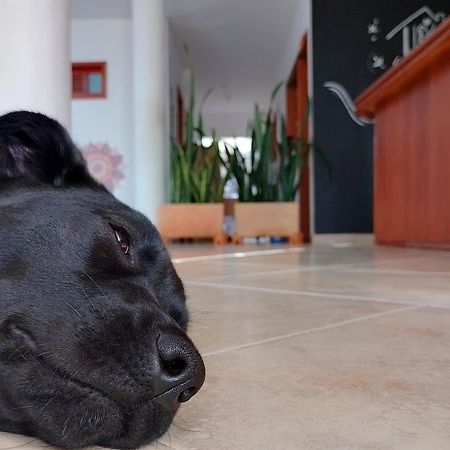 Hola! Veci Hotel Villa de Leyva Eksteriør billede