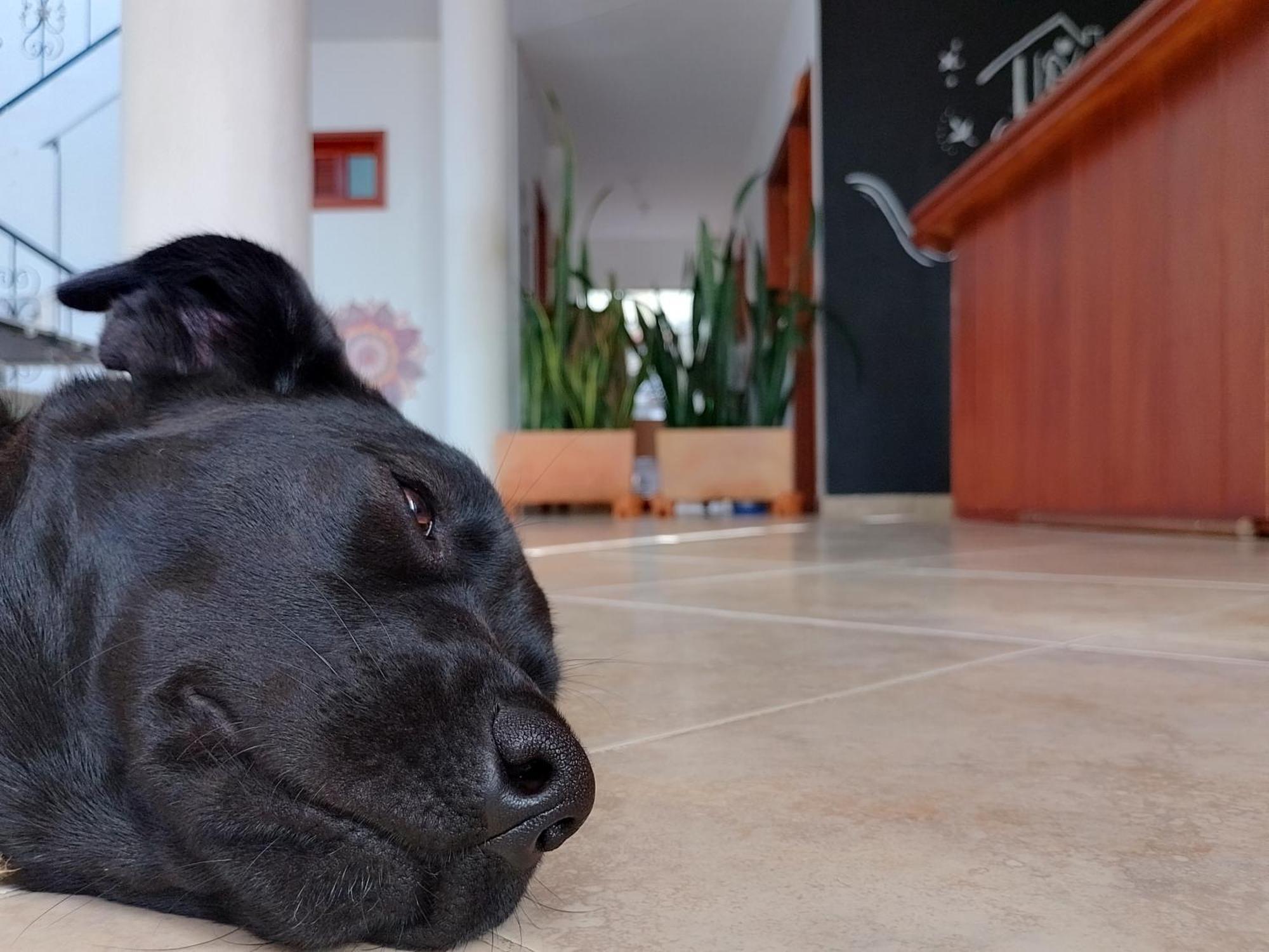Hola! Veci Hotel Villa de Leyva Eksteriør billede